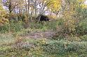 Automne_11_Bernard Laborderie